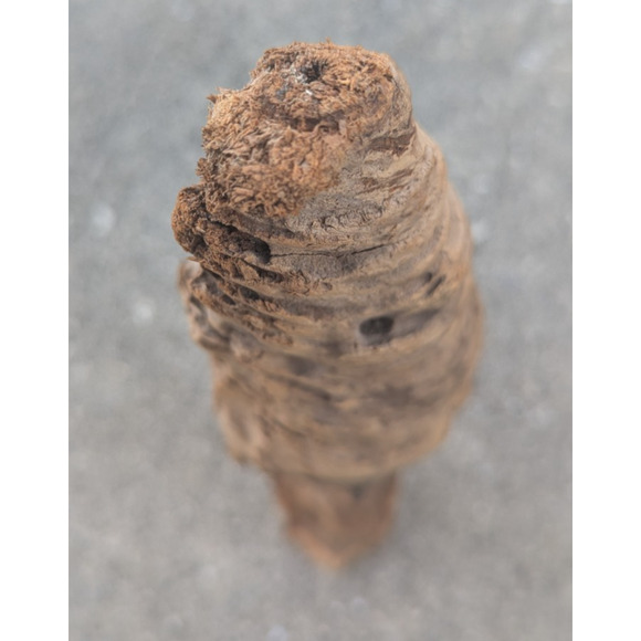 Hand Carved Wood Spirit Sculpture Man Folk Art Branch 13.5" - Picture 8 of 10